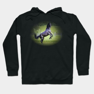 Horse Dog Cat Pets & Farm Animals 202 2020 Hoodie